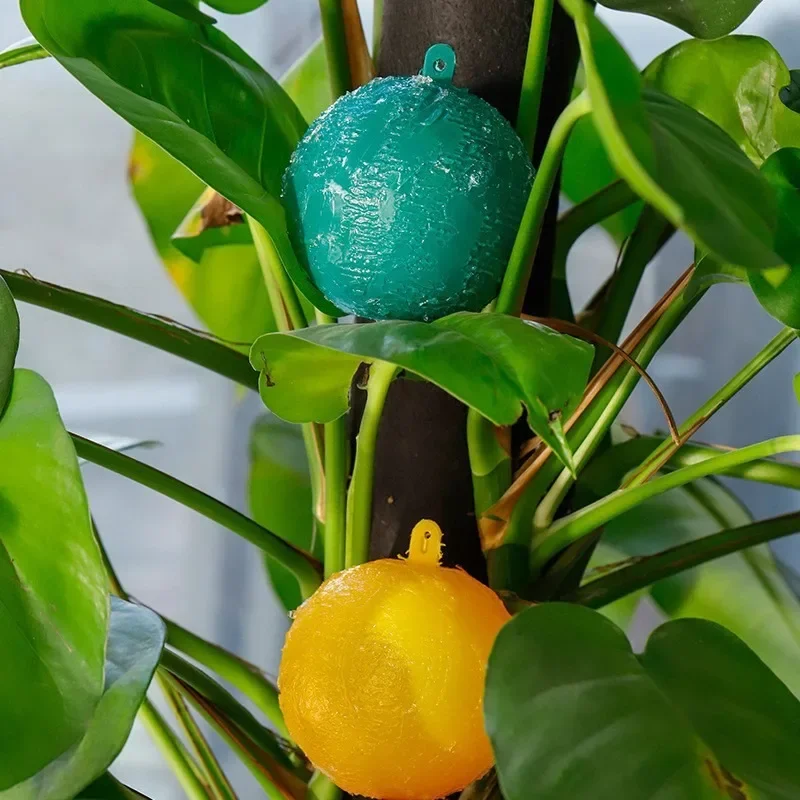 Wasserdichte Zweifarbige Fliegenfangkugel mit Visuellem Anlockdesign, Langlebige Klebefalle für Flügelschädlinge, Praktisch für die Landwirtschaft – Detail 2