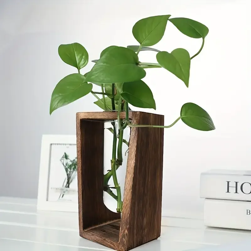 Nowoczesny wazon do rozmnażani – Propagation Station Vase recenzja i cena
