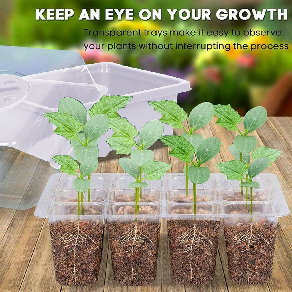 12 Hole Plant Seed Grow Box Nursery Seedling Starter Indoor Garden Yard Tray Hot Green House Seeding Box with Hole Seedling Box