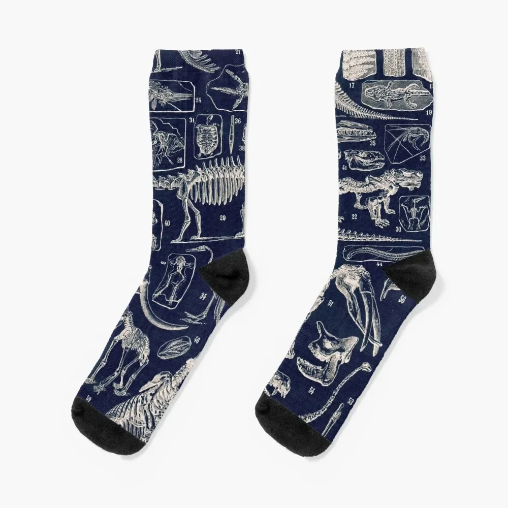 

Adolphe Millot - Paleontologie (paleontology)- vintage french poster Socks Run crazy christmass gift Socks For Men Women's