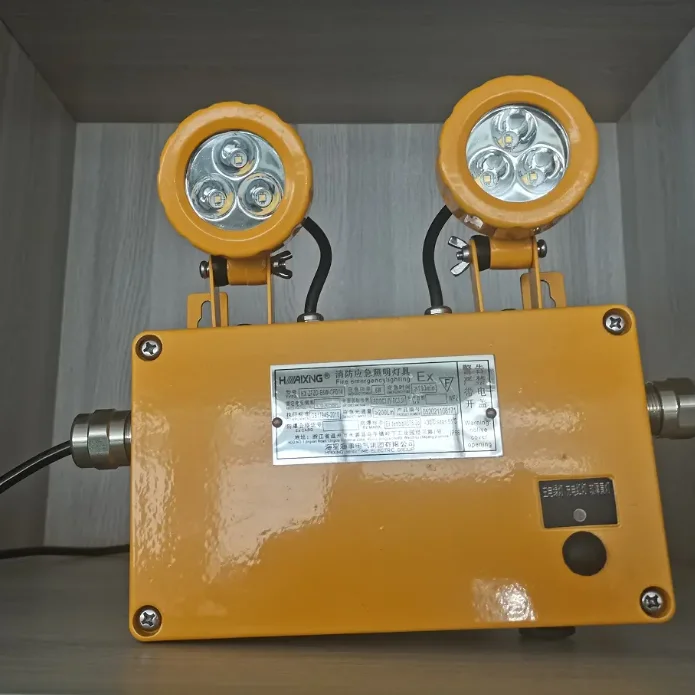 6W LED Explosion-Proof Emergency Light For Oil Mining Smelting And Ships Fire Emergency 3H Time IP66