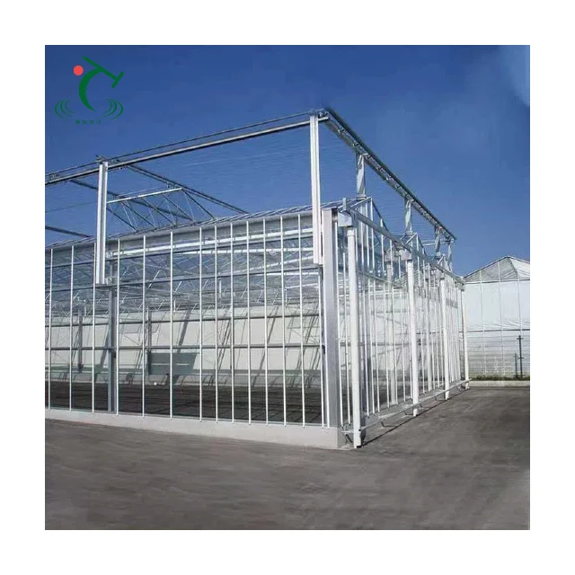

Customized greenhouseHigh-tech Multispan Greenhouse for Plant Growing Large Commercial Agricultural Glass Greenhouse with Coolin