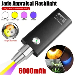 3 Lichtquelle Taschenlampe 365/395nm tragbare Mini-UV-Taschenlampe wasserdicht profession elle Jade Identifikation licht mehrstufig