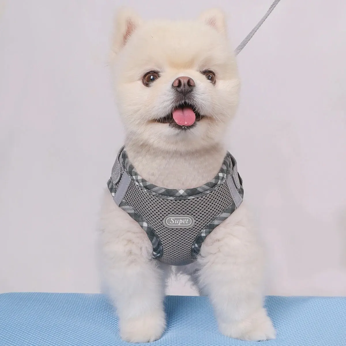 Supet 1pc Dog Harness, Anti-Pull, Pet Harness, Adjustable, Easy to Control, Suitable for Small, Medium Dogs