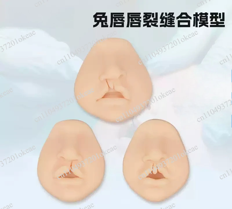 Rabbit Lip Repair Suture Exercise Model Cleft Lip Surgery Training Practice Tool
