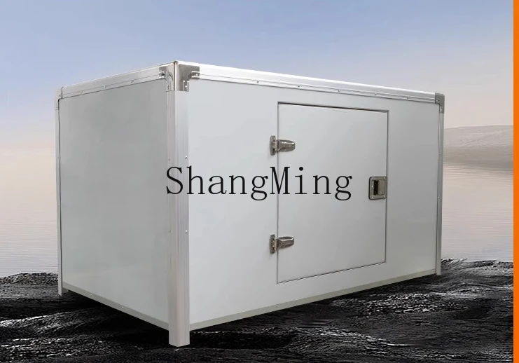 ZYY piccolo frigorifero congelatore portatile fresco congelato mobile