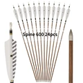 Spine 600 24pcs