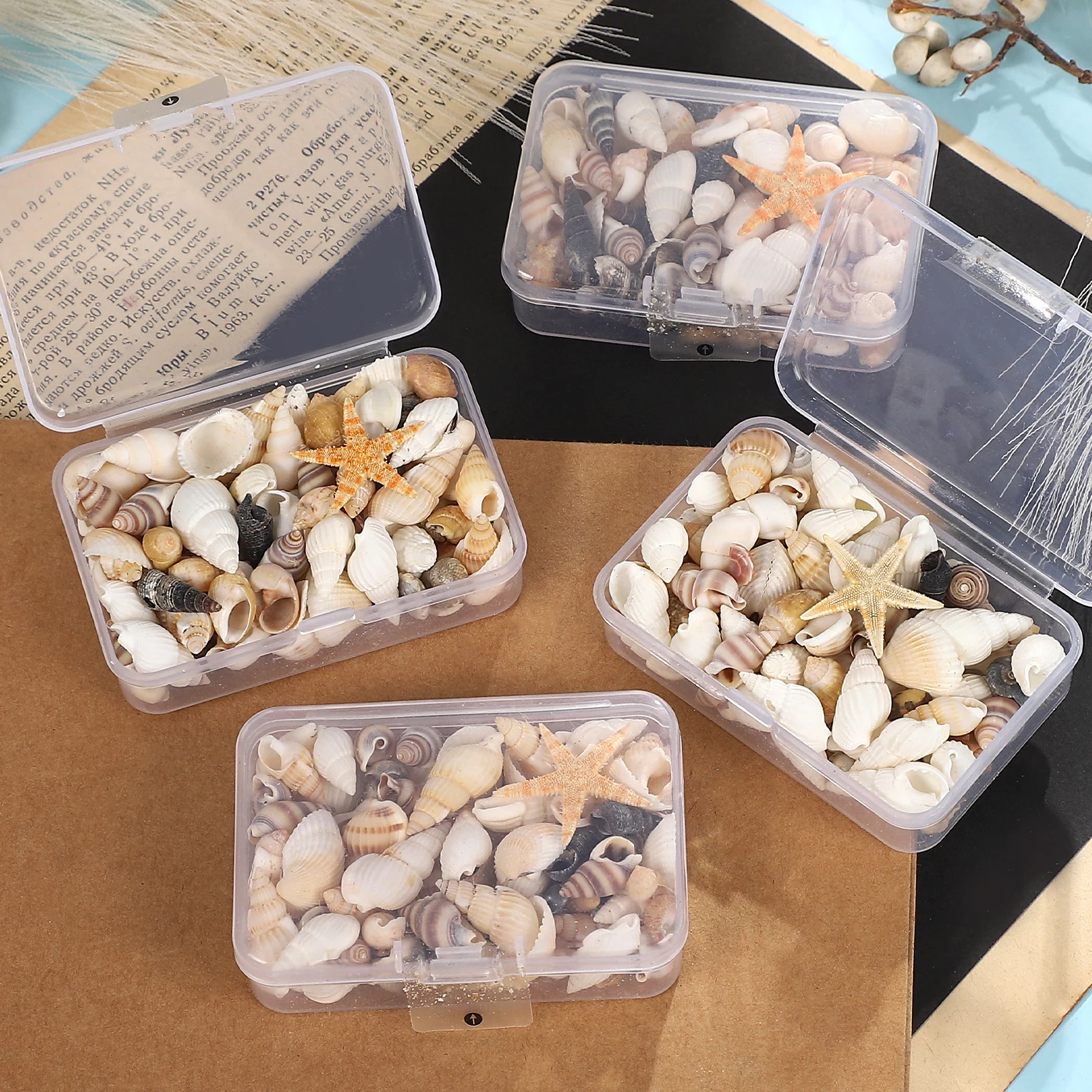 

Vintage Different Shapes Conch Micro-landscape Layout Boxed Material Creative DIY Journal Collage Scrapbook Stationery