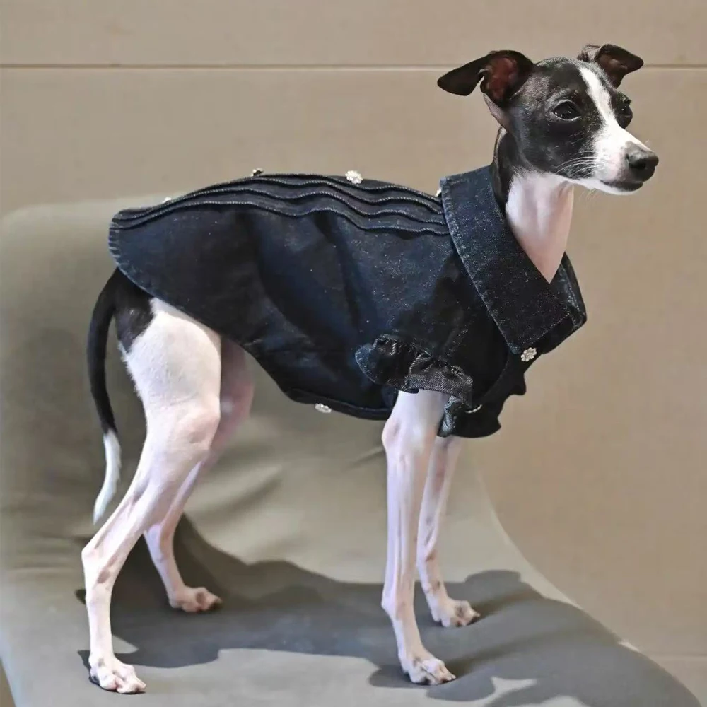 

Fashion Clothes for Italy Greyhound in Spring Autumn Denim Vest for Small Whippet Soft Sleeveless T-shirt for Terrier