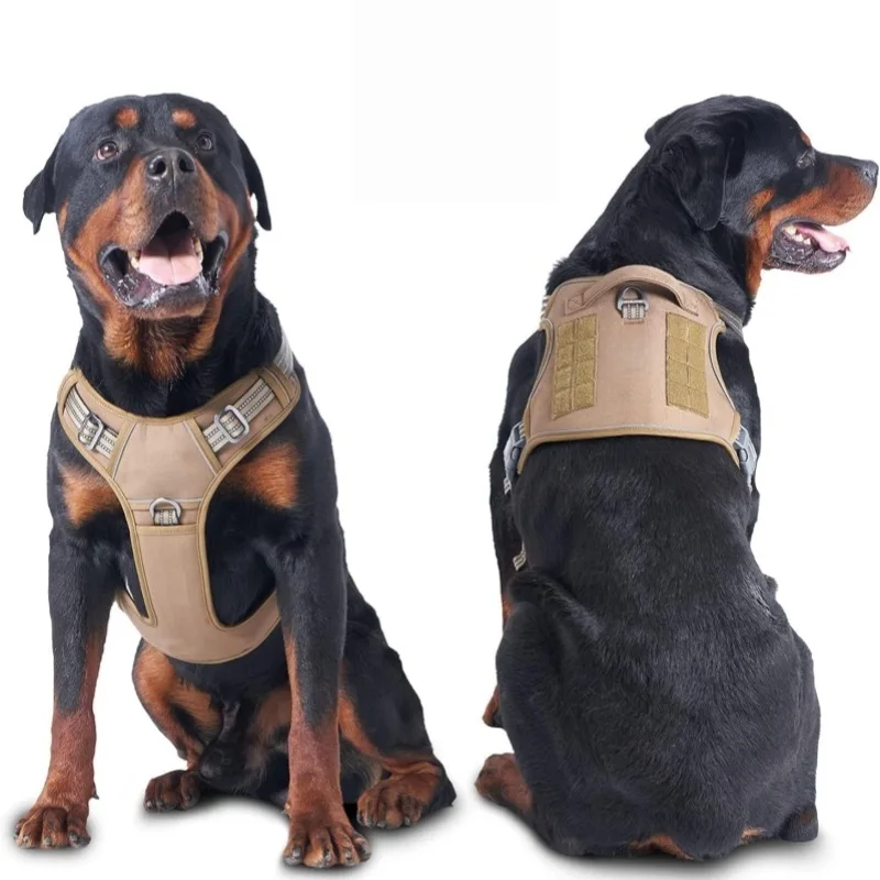 Thumbnail 2 - #49 Best Dog Car Safety Harnesses to Buy In 2026