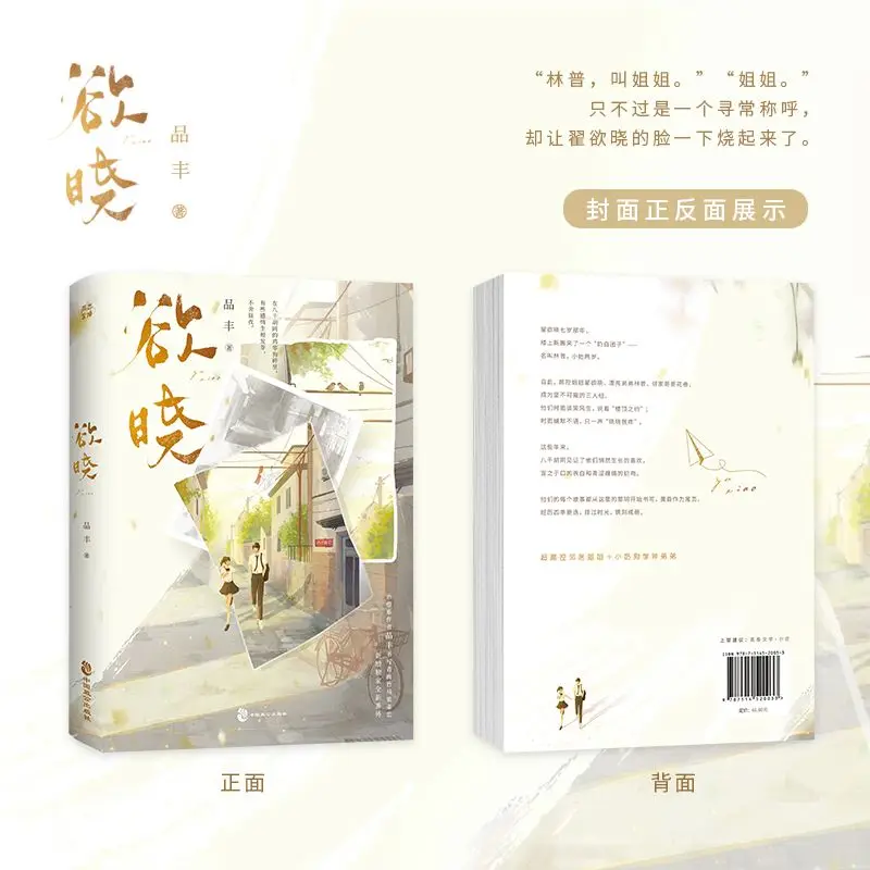 Dawn Chinese Sibling Reunion Youth Romance Novel Sweet Love Story Book