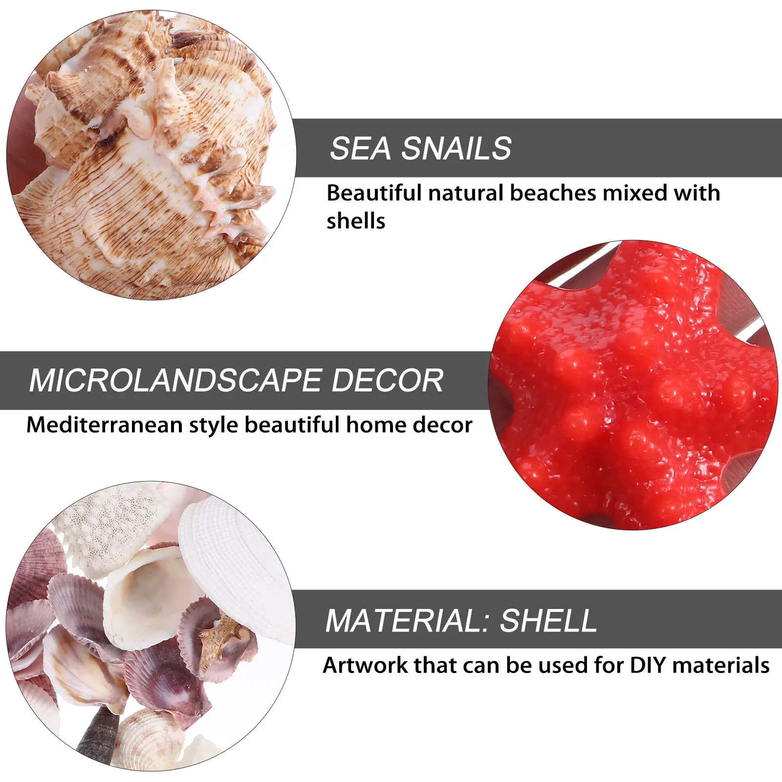 

1Set Natural Shells Sea Snails Decorative DIY Supplies Home Living Room Dining Table Vase Filler Aquarium Beach Party