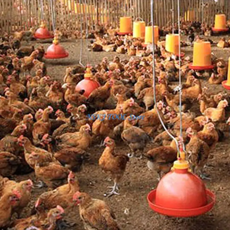 

L8RC Automatic Poultry Fountain Poultry Drinker Stable Saving Water for Pigeon