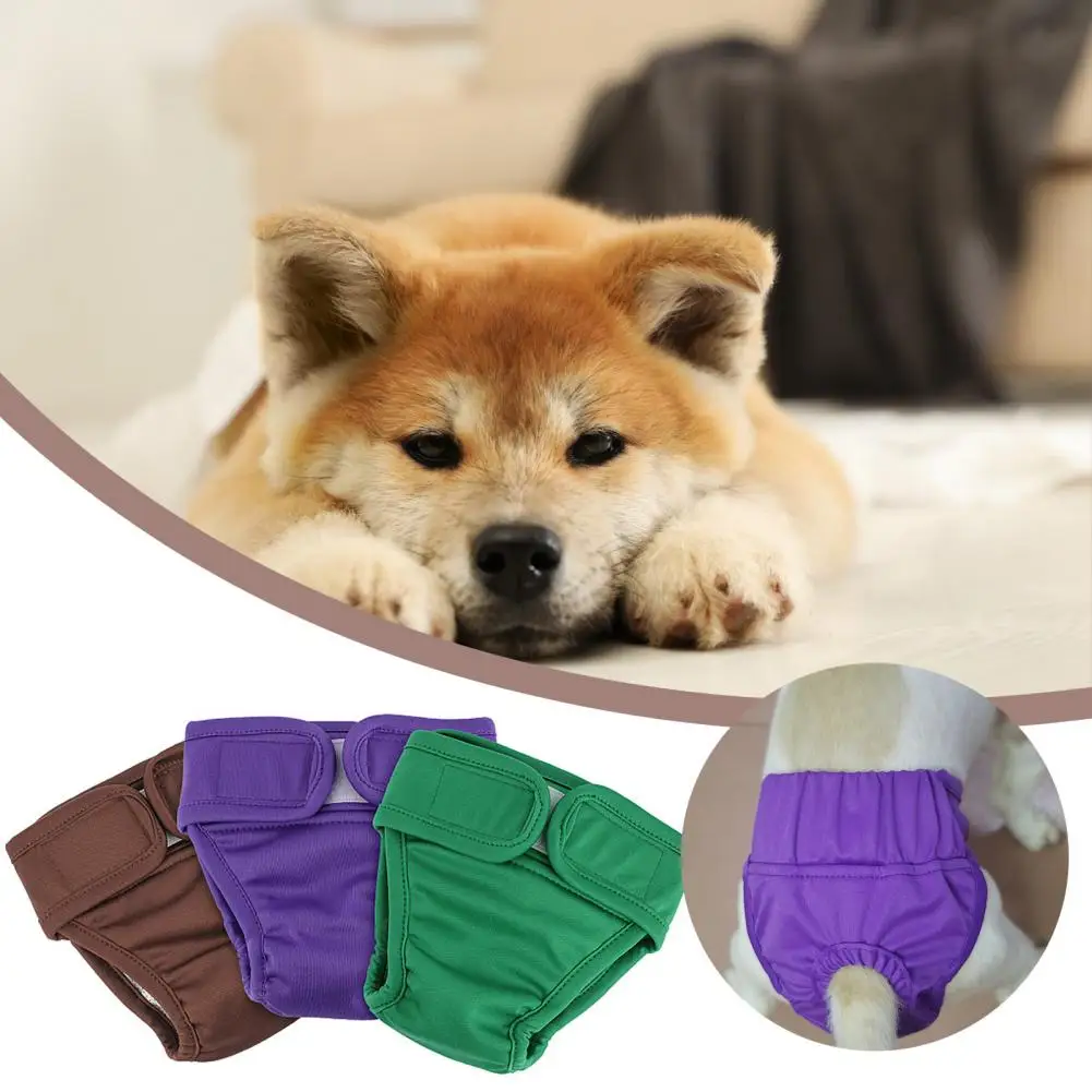 Pet Physiological Pants Pet Underwear Diaper Comfortable Leak-proof Pet Menstrual Pants Fastener Tape Dog for Incontinence