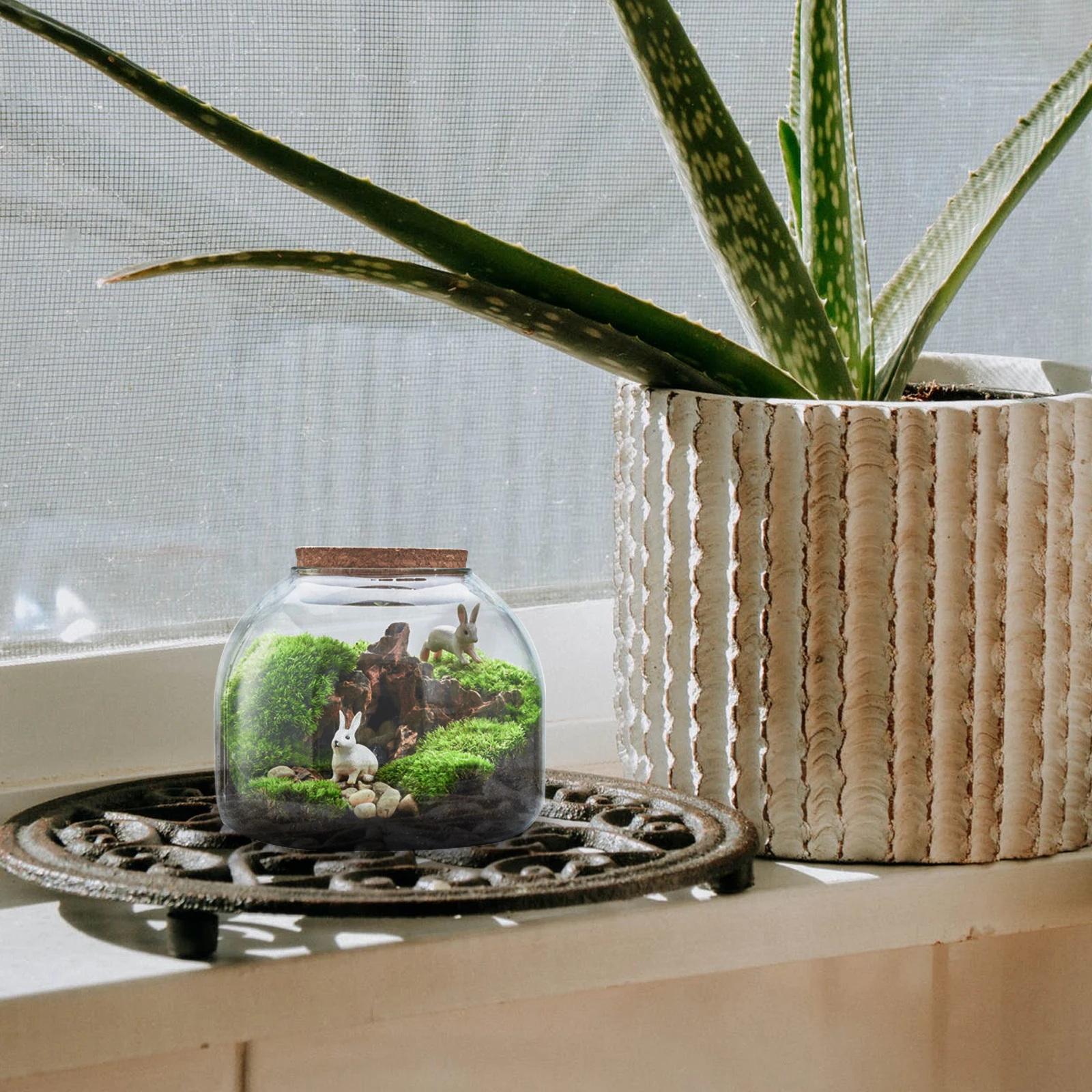 

1Set DIY Microlandscape Bottle Clear Glass Ecological Container Home Decor Simple Plant Terrarium Brighten Room Gift