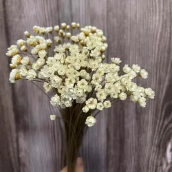 150PCS/0.6-1CM Head,25~30CM Long,Real Dried Natural White Little Star Flowers,Dry Mini Daisy Bouquet For Resin Jewellery,