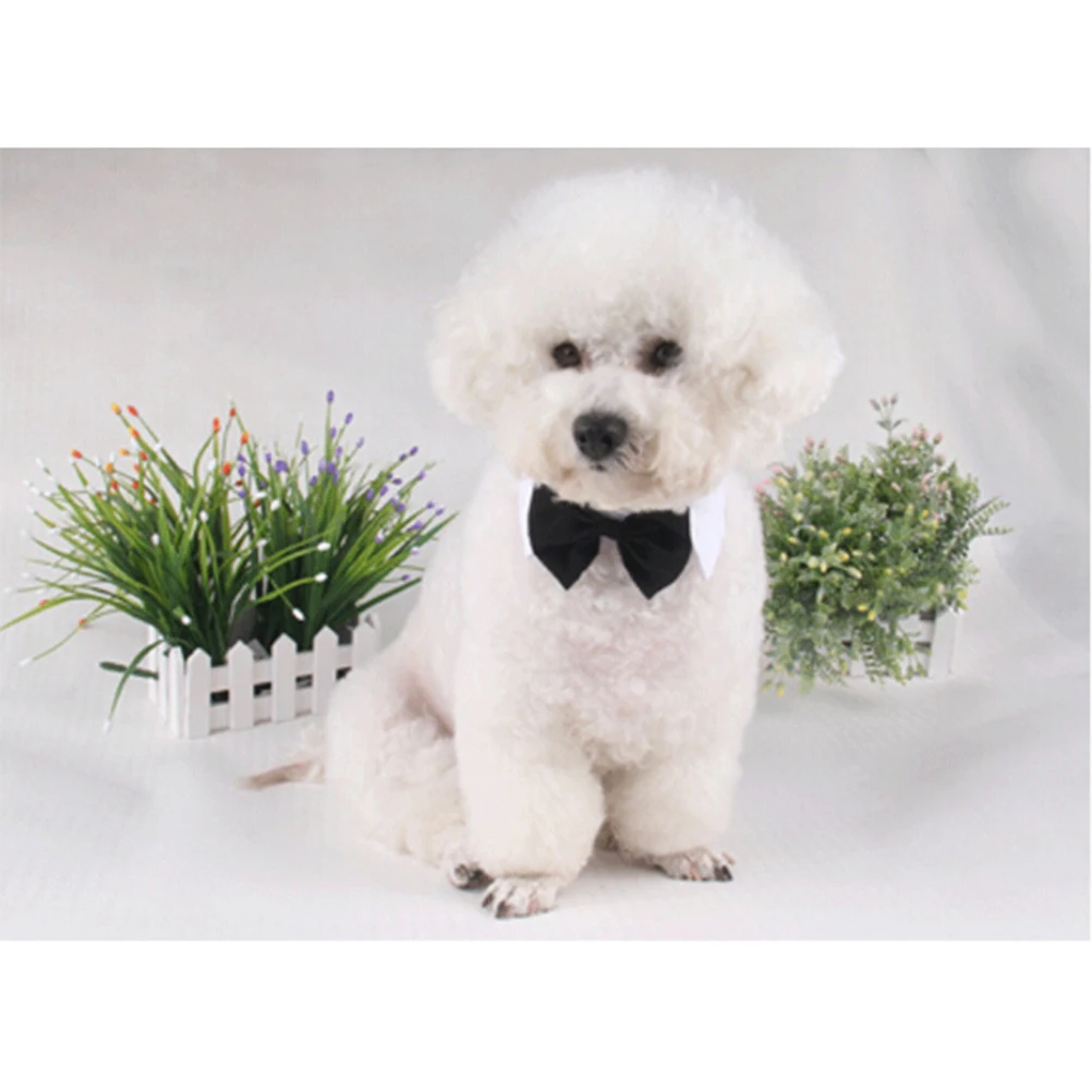 

Pet Bow Tie Dog Bow Tie Dog Neck Tie Dog Collar Pet Collar