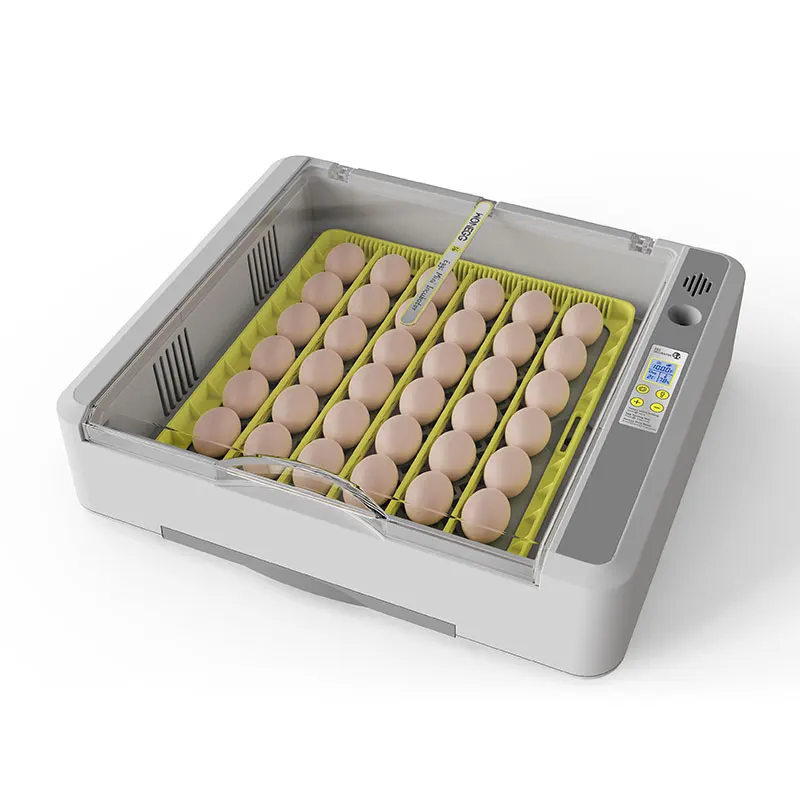 Hhd 36 Chicken Egg Incubator Machine Hatcher Multi-functional Egg Tray and Water Tank for Adding Water