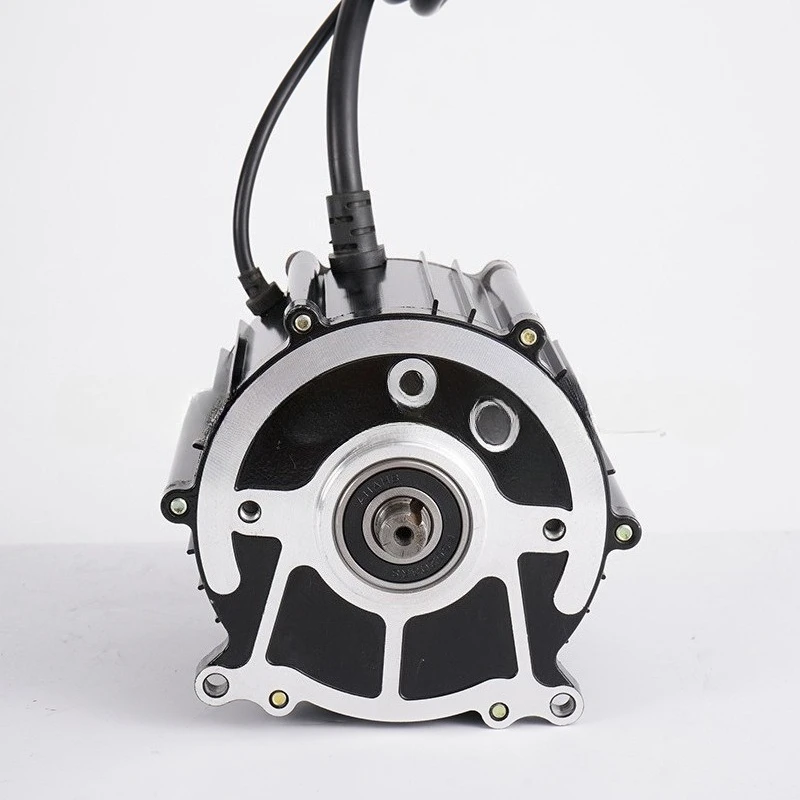 16TH 48V 1200W Permanent Magnet Brushless DC Axle Drive Motor for Beach Sand Vehicle Replacement Parts, High Torque