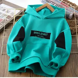 Boy's Hoody Autumn New Children's Boyish Look Hooded Bottoming Shirt Spring and Autumn Children and Teens Autumn Clothing Top