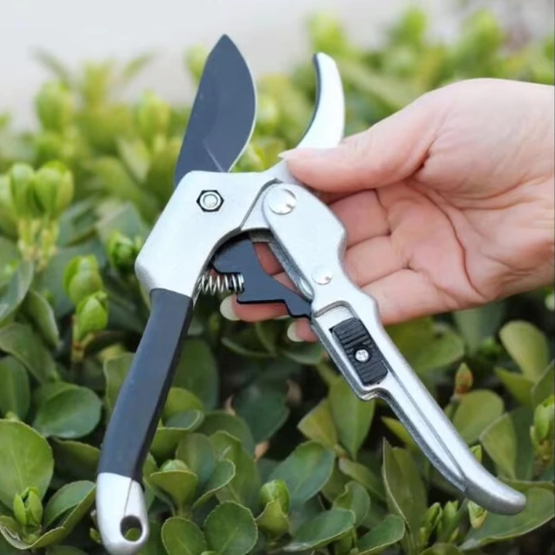 

Stainless steel blade pruning shears Sharp hand tools for gardening and pruning coarse fruit branches