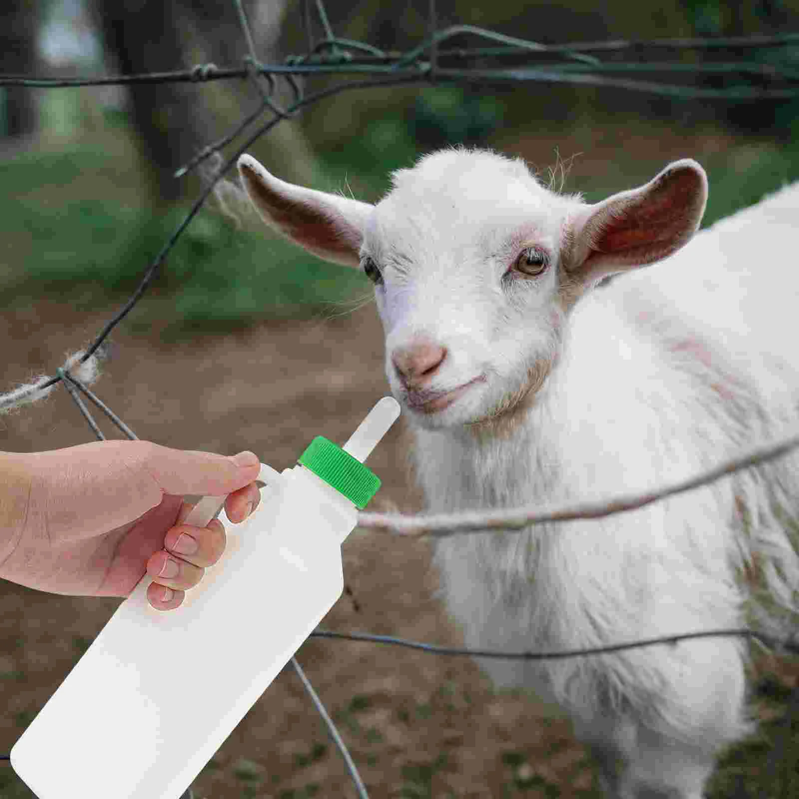 Goats Lamb Feeding Bottle Sheep Milk Suite Nurser for Calf Baby Drink Pet Supplies
