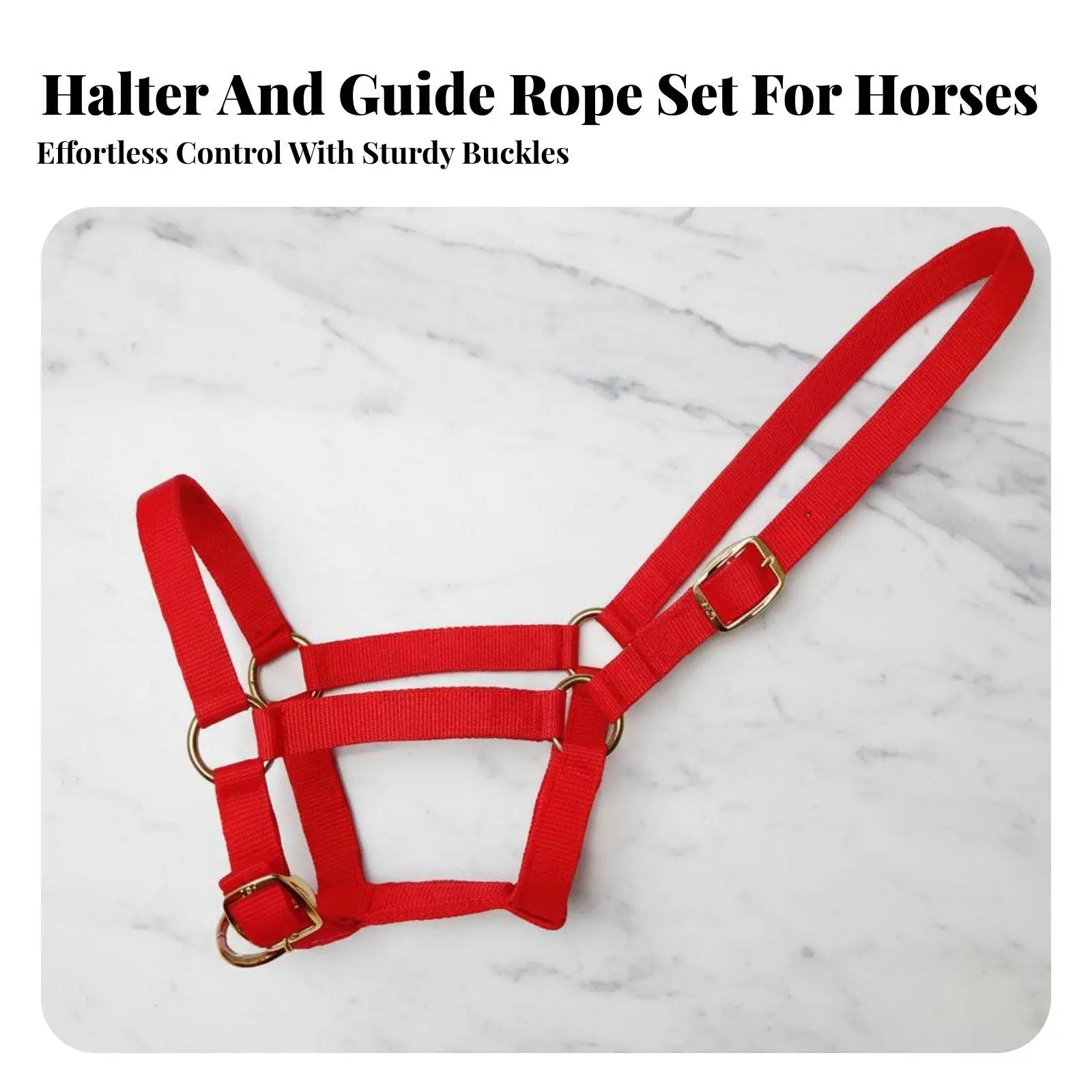 double-layer-horse-headcollar-extra-thick-horse-leading-halter-reinforced-equestrian-supplies-for-training-stables