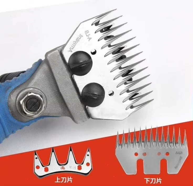 เครื่องตัดขนสัตว์ไฟฟ้าแบบมือถือกำลังสูง สำหรับตัดขนม้าและแกะ