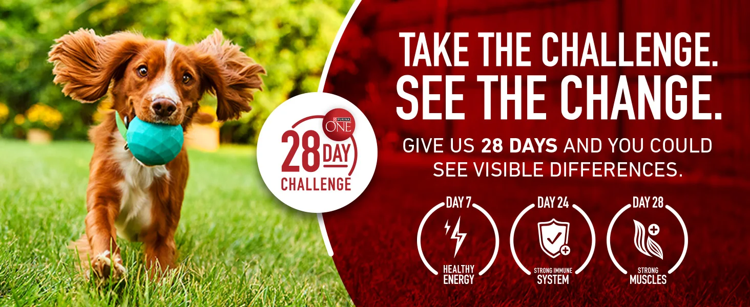 Photo of the Purina ONE 28 day challenge