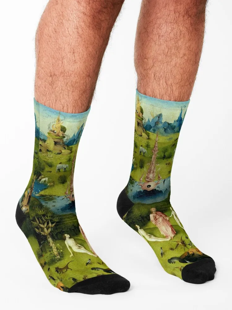 Hieronymus Bosch The Garden of Earthly Delights - The Heaven or The Creation Socks funny sock happy Women Socks Men's
