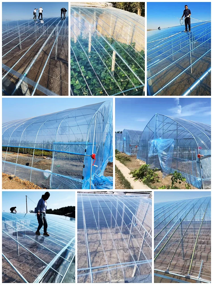 Customized Defogging PO Film Non Drip Transparent Thickened  Film1Sqm Agricultural Breeding Vegetable Insulation Greenhouse Film