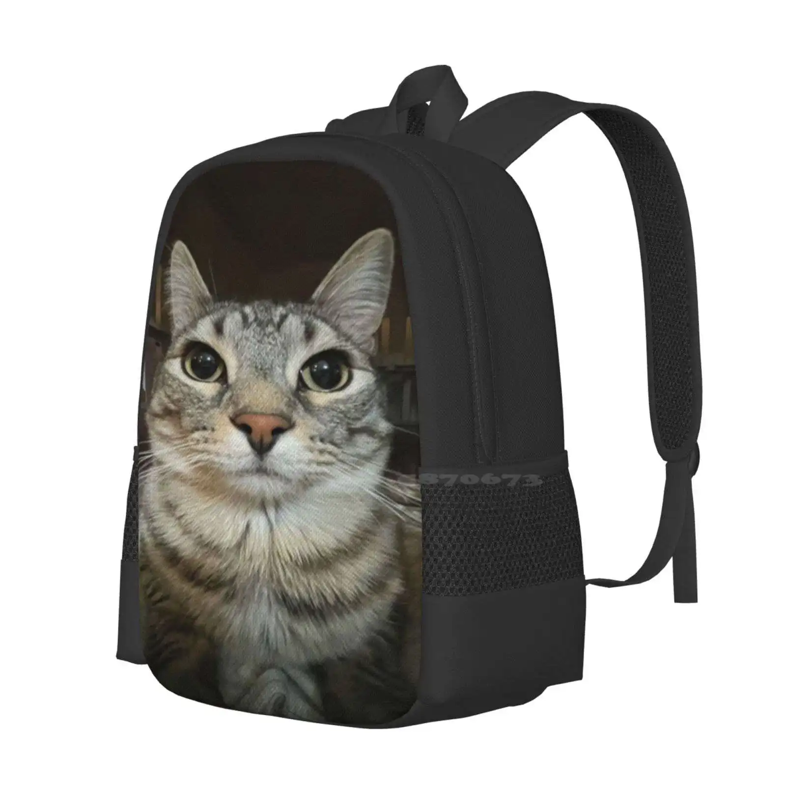 Cat Looking Directly At You Hot Sale Schoolbag Backpack Fashion Bags Funny Cat Meme Cat Looking Directly At You Cat Funny