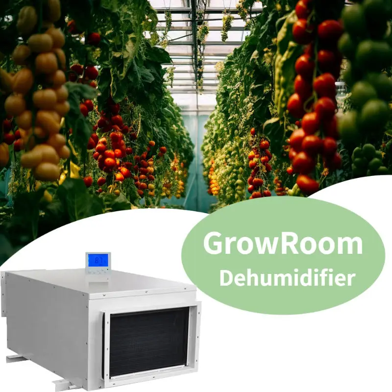 

150L/D Wholesale Ceiling Dehumidifier Dehumidifier Commercial 150lpd Greenhouse Desiccant Industrial Dehumidifier