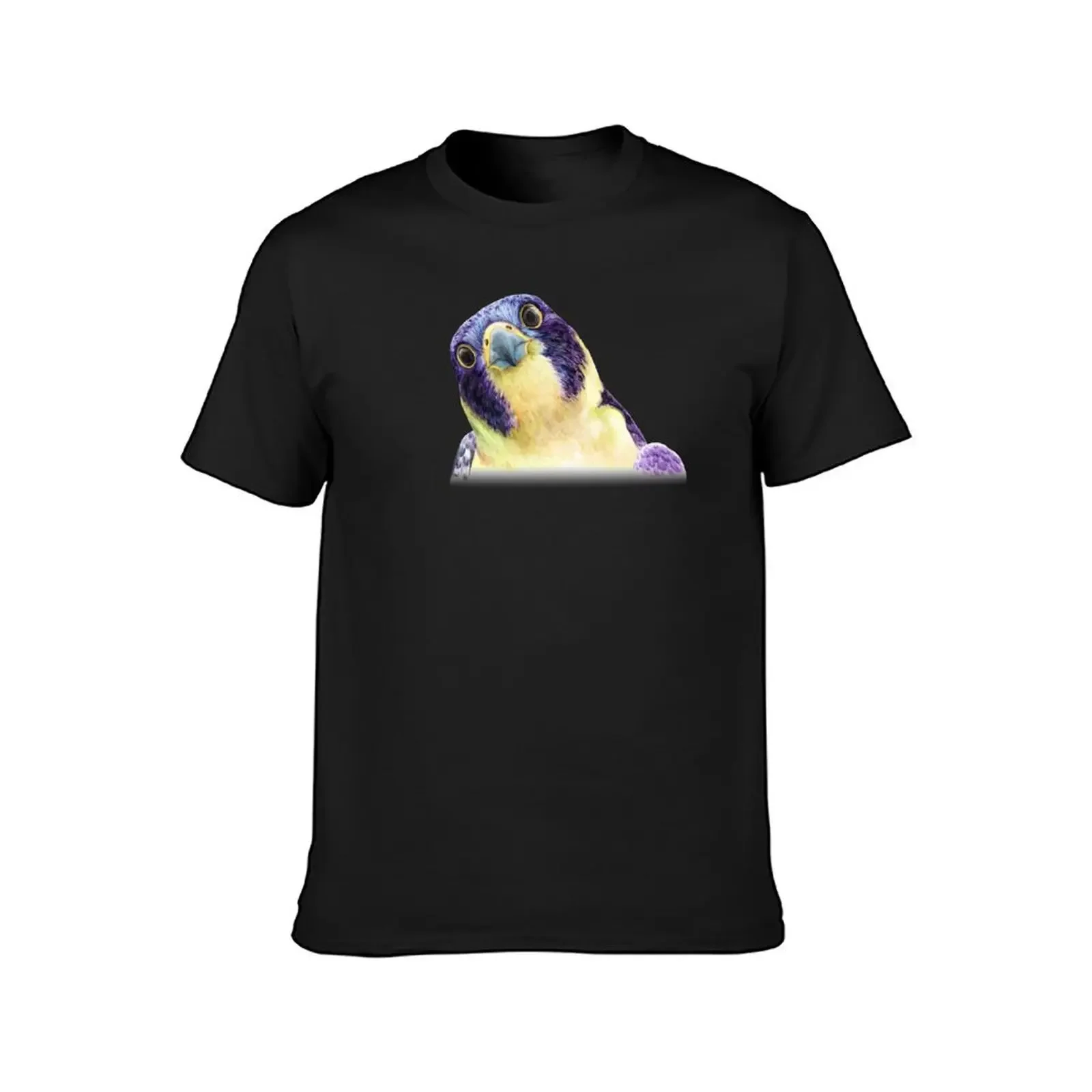 Colorful Peregrine Falcon in Watercolor T-Shirt Short sleeve tee plus sizes custom t shirt anime figures mens t shirt