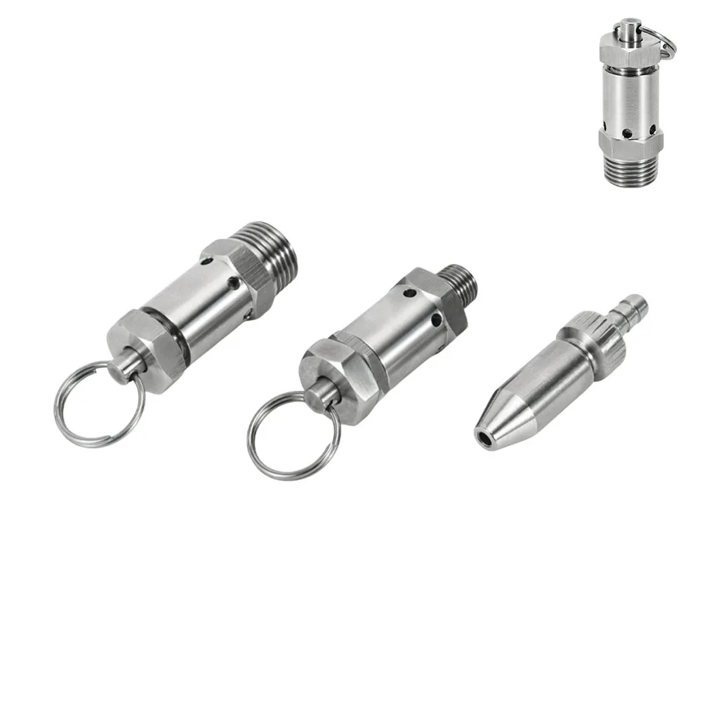 304 Stainless Steel Mini Spring Safety Valve 1/4