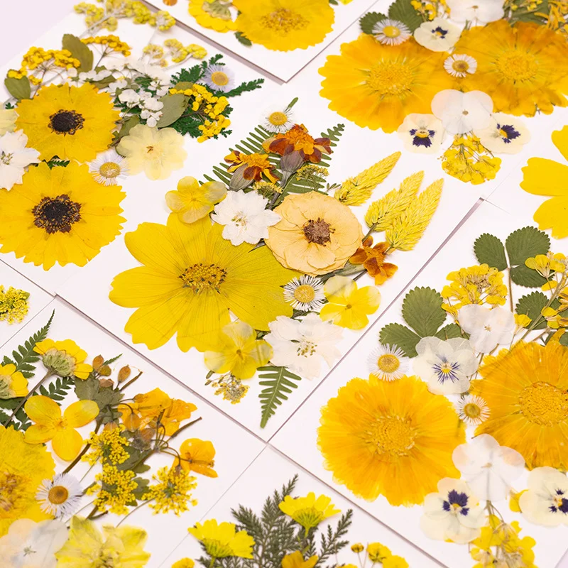 6 видов наборов из 21 штук нов – обзор и цена Home Decor Yellow