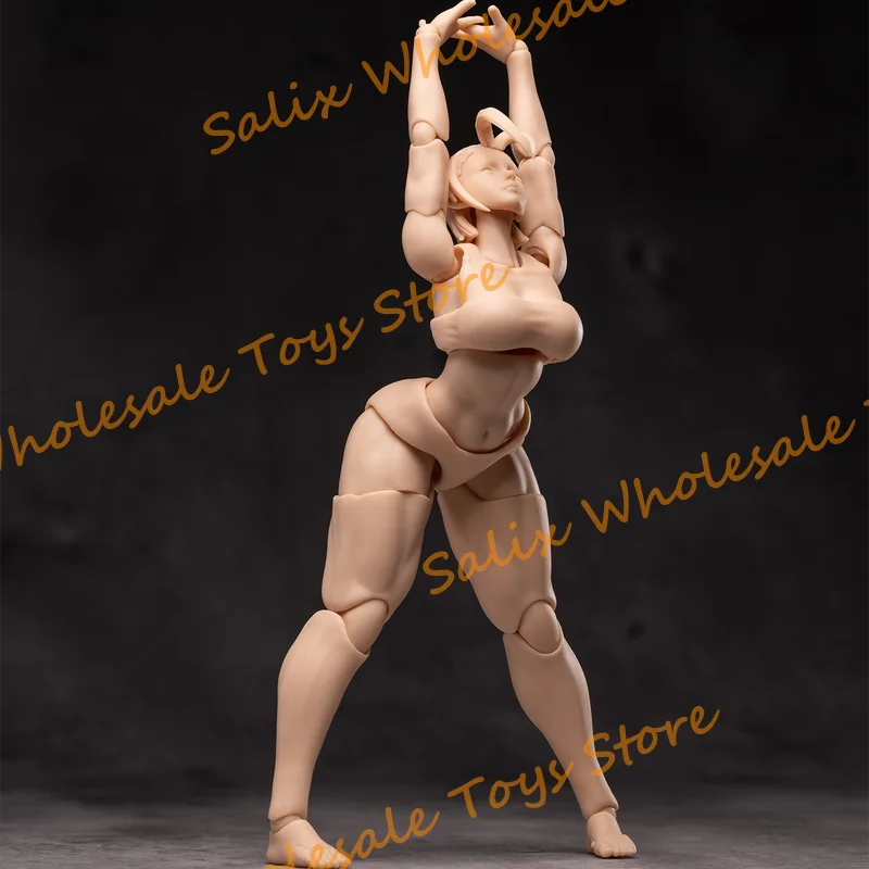 WHALE WORKS 1/12 スケール超可動女性ボディ人形可動目付き
