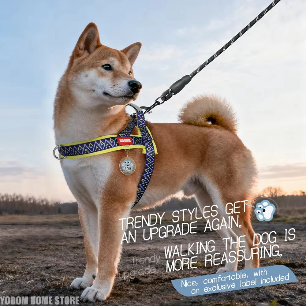 สายรัดอกสุนัขขนาดเล็ก-กลาง แบบ - No Pull Dog Harness บทวิจารณ์และราคา