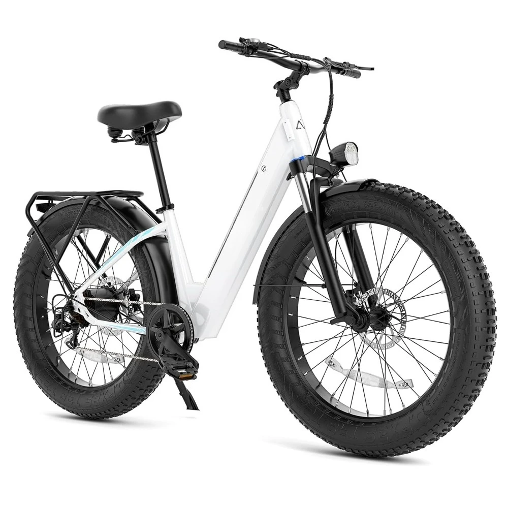 

26" Electric Bike for Adults, 1000W Peak Motor, 28MPH Speed, 60 Miles, 48V 15Ah Removable Battery, Fat Tire, Customized