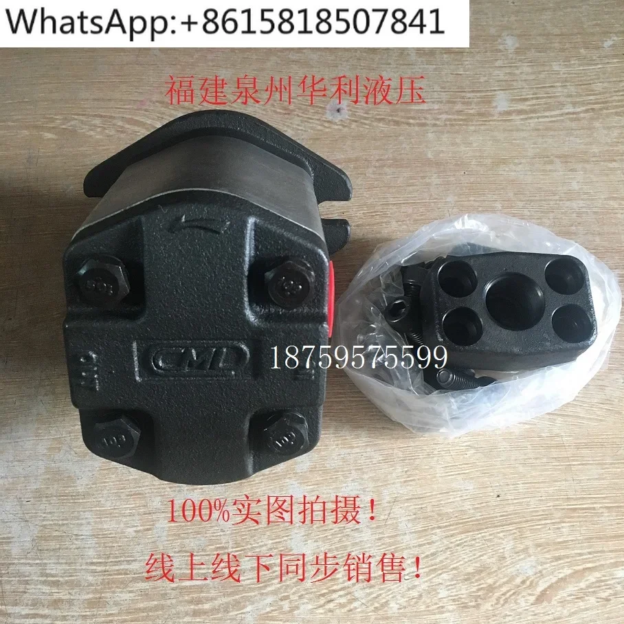 CML Hydraulic Oil Pump DEGB-26-R DEGB-22-R/L Special for Gear Pump Cutting Machine