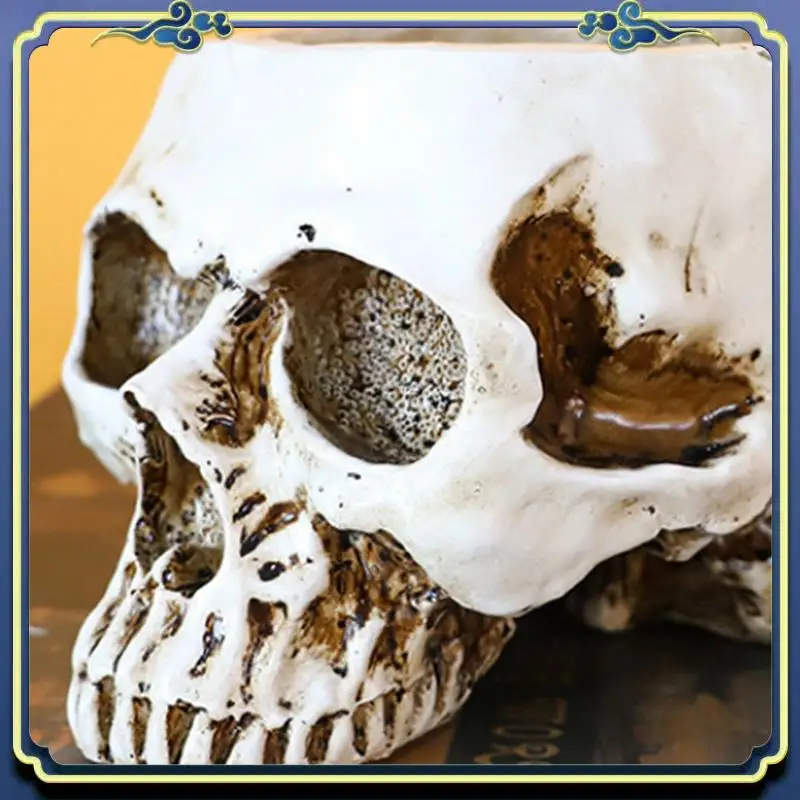 

Latest Resin Human Skull Model Flowerpot Workmanship Skull Planter Pot Attractive Multifunctional For Home