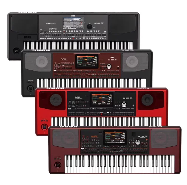 Authentic Korg PA700 Digital Arrangement Keyboard with Stylish Piano Bag Hot Sale Stage Speakers in China