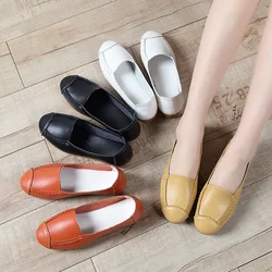 WOIZGIC Women's Flats Shoes Comfortable Breathable Slip-On Loafers Fashionable Flats Heel Footwear for Casual Wear