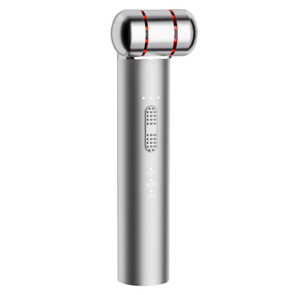 Cross-border Ems Micro-current Vibration Facial Essence Massage Beauty Instrument