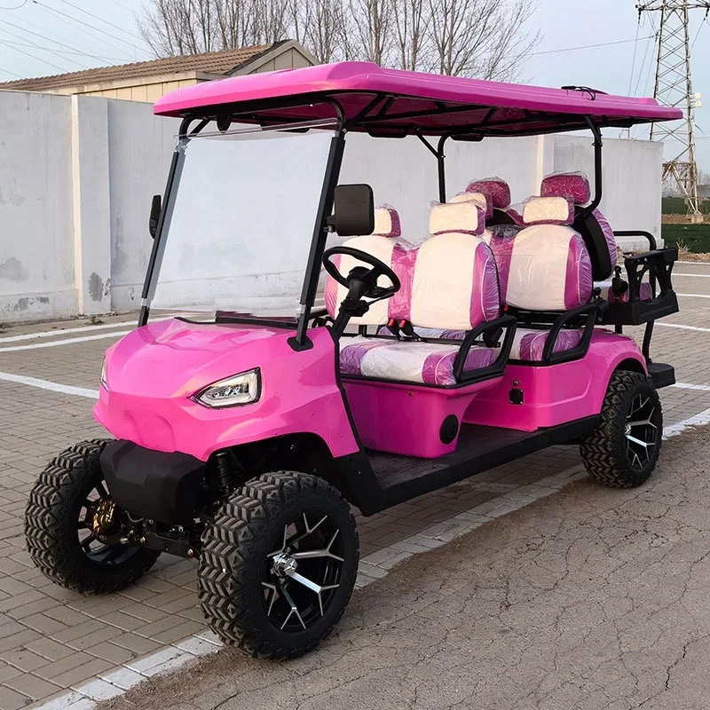 High Quality New Energy Vehicle Accessories Golf Cart Body Kit 3.5KW 4KW 5KW Electric Car Adult Club Car Golf Cart Parts view 4