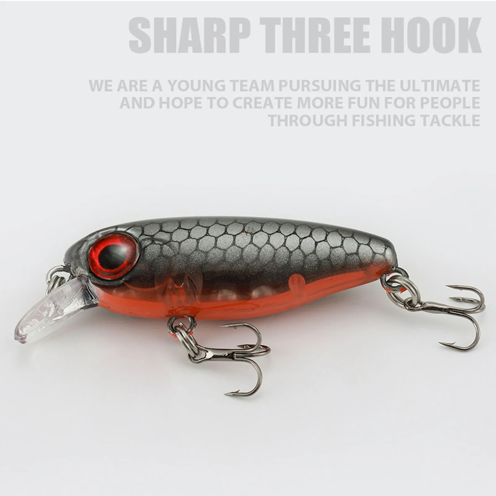 Minnow Fishing Lures Bait with Hooks Hard Bait Life-Like Swimbait for Trout Bass Salmon Fishing