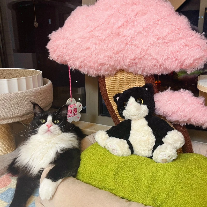 

Large Cat Bed Unique Minimalist Design with Scratching Post Built-in Litter Box Cat Tree Combination for Cats
