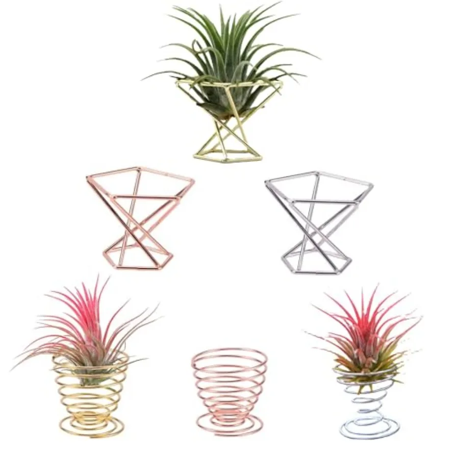 

6 PCS Geometric Air Plant Holder Airplants Rack Metal Plants Stand Airplant Stand Container Tillandsia Stainless Steel Display