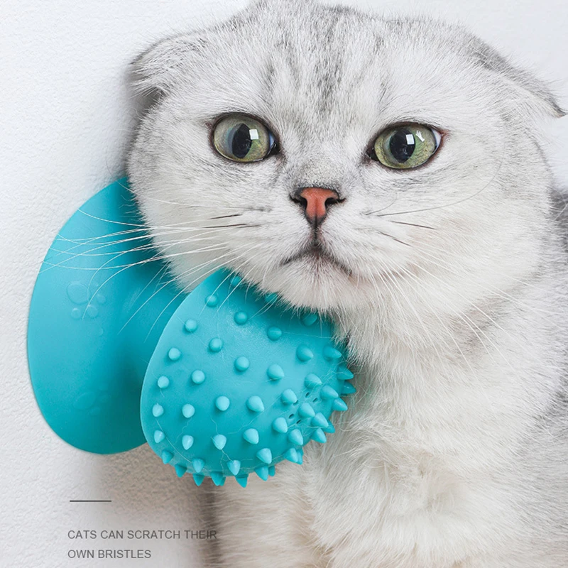 부드러운 흡착식 고양이 마사지기 이미지