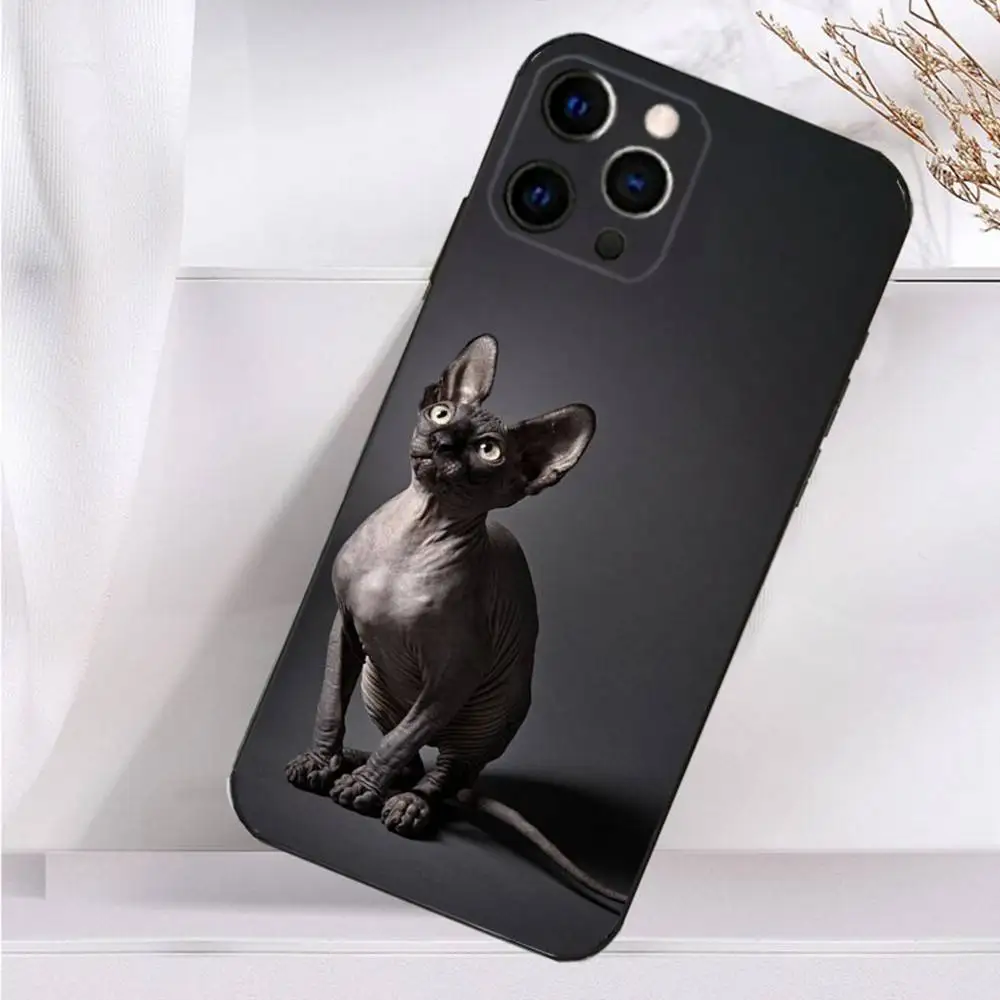 สัตว์เลี้ยงแมวSphynx Sphinxเคสโทรศัพท์สําหรับiPhone 16,15,14,13,12,11 Plus,Pro Max,XS,X,XR,SE,Mini,8,7 ซิลิโคนนุ่มปกสีดํา